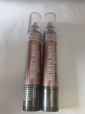 Burt's Bees Gloss Lip Crayon Duo Set Of 2 New Shade Santorini Sunrise 412